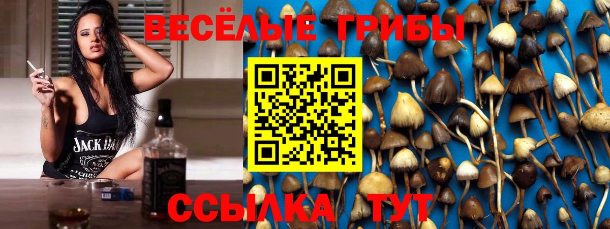 Лесной  где продают наркотики  Вход с VPN  Галлюциногенные грибы Psilocybe 